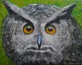 Uhu (40x50)cm